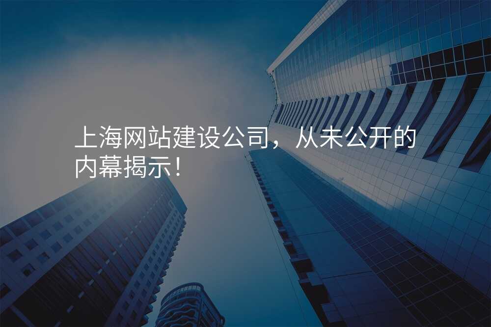 上海網站建(jian)設(shè)公(gōng)司，從(cong)未公(gōng)開的(de)內(nei)幕揭示！